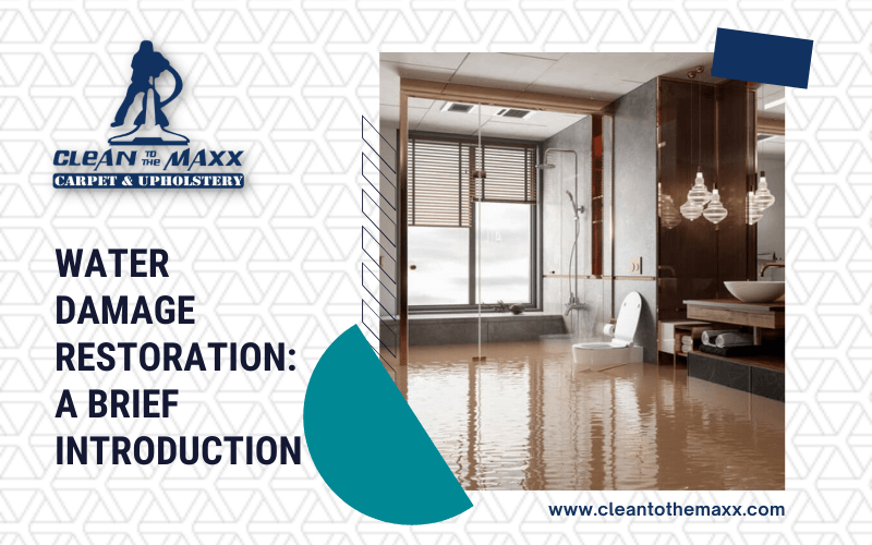 Water-Damage-Restoration_-A-Brief-Introduction Water-Damage-Restoration_-A-Brief-Introduction